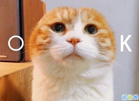 女生超甜的心情說說關(guān)于愛情帶圖片 很甜很撩的話適合發(fā)朋友圈配圖4