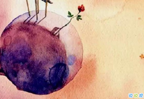 經(jīng)典小王子中的有哲理而又簡(jiǎn)單的句子 如果你被一朵花馴養(yǎng)5