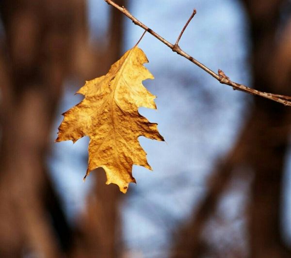 超唯美的經(jīng)典人生感悟說(shuō)說(shuō)帶圖片 都說(shuō)人生如戲10