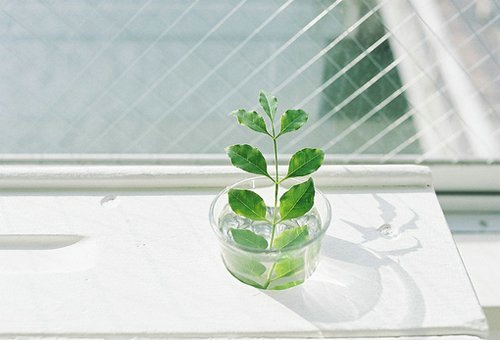 甜蜜浪漫情話只想說給你聽的說說帶圖片 想化作一陣風輕柔的撫過你13