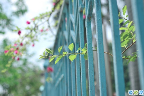 人生經(jīng)典名言說說大全帶圖片 積極向上的哲理說說配圖關(guān)于人生和成長9