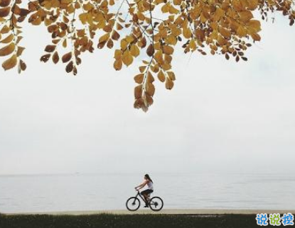 最新元旦個(gè)性說(shuō)說(shuō)2019要加油 拼搏道路上經(jīng)典的話(huà)語(yǔ)1