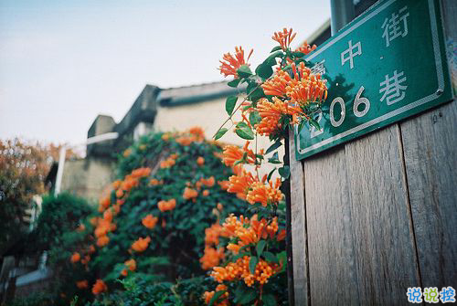 內(nèi)心痛苦煎熬的說說大全 被愛情折磨的傷感說說2