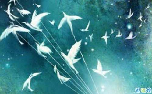 經(jīng)典小王子中的有哲理而又簡(jiǎn)單的句子 如果你被一朵花馴養(yǎng)10