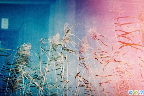 感到心酸卻無能為力的現(xiàn)實說說 生活讓人內(nèi)心酸痛的生活現(xiàn)實說說1