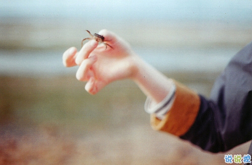 刺痛內(nèi)心的傷感說(shuō)說(shuō)帶圖片 2019最新失落傷感的句子合集4