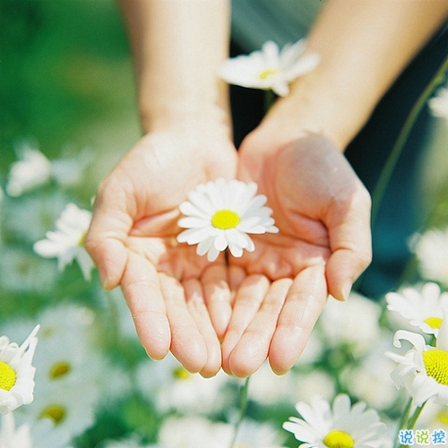 優(yōu)美說(shuō)說(shuō)唯美的句子配圖：海底月是天上月，只是鏡花水月5