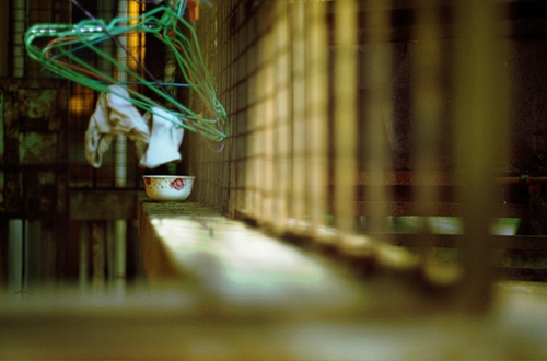 適合有時(shí)候感到孤獨(dú)寂寞時(shí)發(fā)的唯美文藝說說帶圖片2