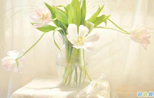 女生唯美傷感說說帶圖片 一句話描述心情不好的說說8