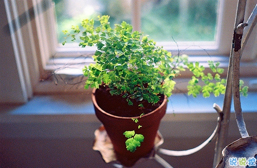 深夜傷心說說心情短語帶圖片 傷心說說短句子心情不好配圖5