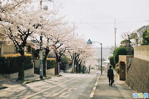 2019非主流經(jīng)典愛(ài)情說(shuō)說(shuō)帶圖片 很打動(dòng)人的一些愛(ài)情真理7