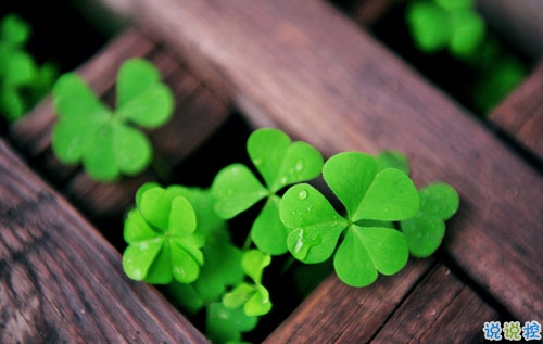 迎接2019元旦說(shuō)說(shuō)適合發(fā)朋友圈 2019年豬年元旦說(shuō)說(shuō)早安一句話2