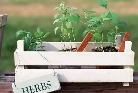 村上春樹(shù)經(jīng)典語(yǔ)錄大全，句句戳中你的內(nèi)心2