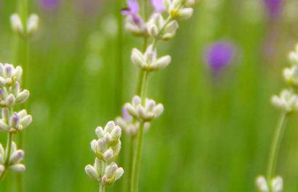 在夢(mèng)里也會(huì)潸然淚下的說說帶圖 如果時(shí)光倒流峩捫能抓得住什么5