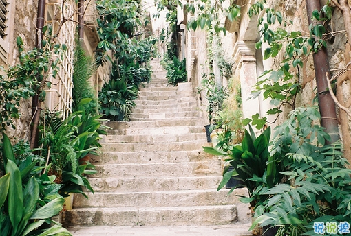 抖音人生感悟經(jīng)典說說帶圖片  很精辟的人生感悟一句話2