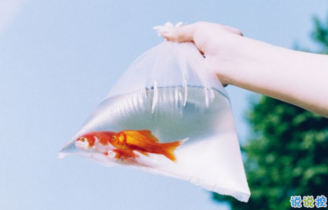 一個人孤獨的說說圖片 qq孤獨傷感說說配圖最新版7