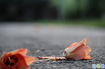 比較有深度很受歡迎的愛情說說帶圖片 對愛情有所感悟的經(jīng)典說說大全15