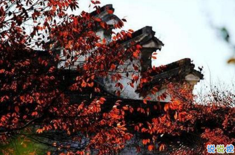 今日立秋圖片說說2018最新版 立秋的經(jīng)典說說帶圖片精選14