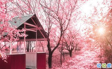 唯美時(shí)尚愛(ài)情說(shuō)說(shuō)帶圖片 很好看的唯美愛(ài)情說(shuō)說(shuō)精選2