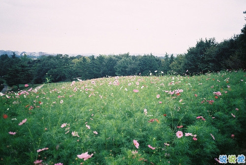 抖音說說短語霸氣高冷男生 比較火的霸氣超拽說說1