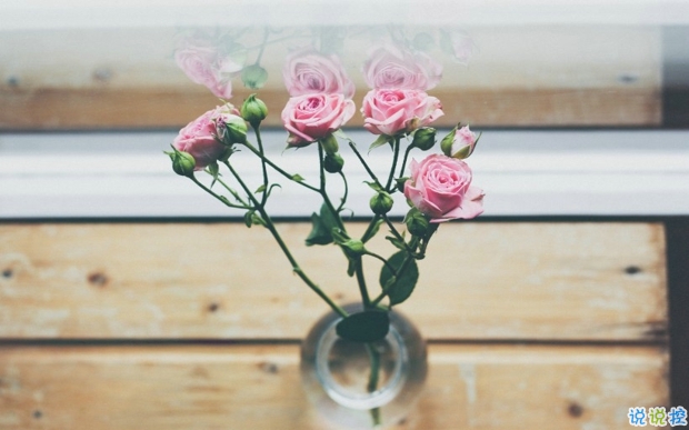 2019婦女節(jié)朋友圈說說大全配圖 溫馨浪漫的38婦女節(jié)說說帶圖片7