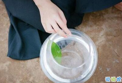 承蒙你出現(xiàn)，夠我喜歡好多年1