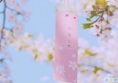 qq經(jīng)典圖片說說人生哲理2018精選 人生一旦開始就沒有回頭路8