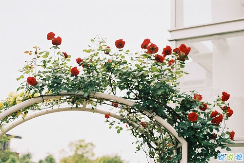 我們一路走來(lái)都很堅(jiān)強(qiáng)的勵(lì)志說(shuō)說(shuō)帶圖片 很正能量的經(jīng)典勵(lì)志說(shuō)說(shuō)10