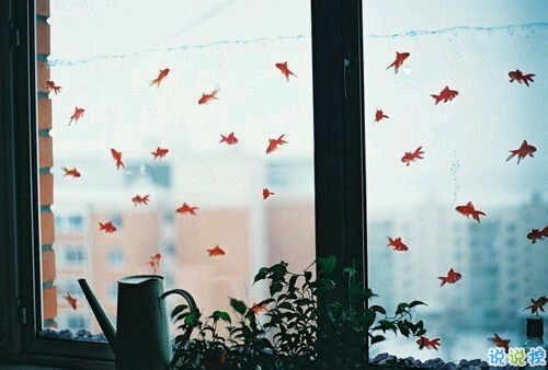 關(guān)于青春成長(zhǎng)的哲理雖然簡(jiǎn)單一句話但是很有道理的說說帶圖片1