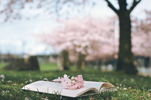 正能量的早安心語寫給有點低落沮喪的你的圖片說說5