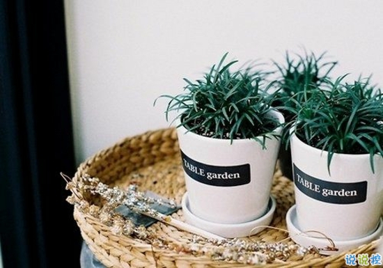 2019最新經(jīng)典愛情說說大全 愛情勵(lì)志的話簡(jiǎn)短精辟1