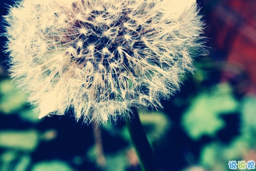 晚安說(shuō)說(shuō)勵(lì)志好心情一句大全帶圖片 簡(jiǎn)單一句晚安心語(yǔ)勵(lì)志配圖11