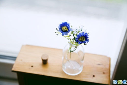 關(guān)于現(xiàn)實(shí)的人生感悟帶圖片 27條值得收藏和學(xué)習(xí)的經(jīng)典說說大全6