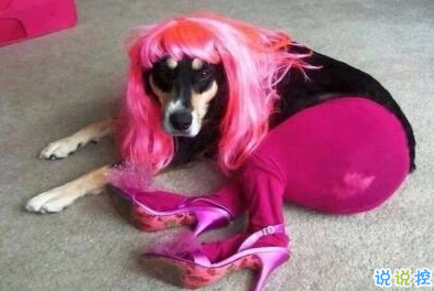 適合社會人的個性說說帶圖片：一巴掌拍醒所有癡心和妄想1