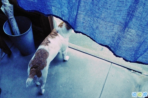 2019豬年除夕祝福語(yǔ)說(shuō)說(shuō)簡(jiǎn)短 致所有人的豬年暖心祝福1