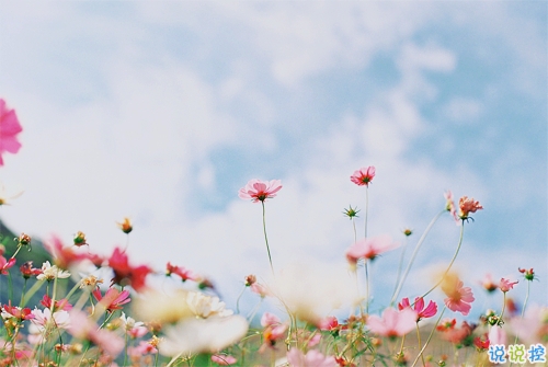 一個(gè)人跨年的傷感說說帶圖片 2019年跨年說說傷感有點(diǎn)想哭1