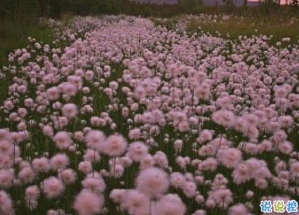 致自己的一句話個(gè)性說說帶圖片 想要訴說自己心情的說說10