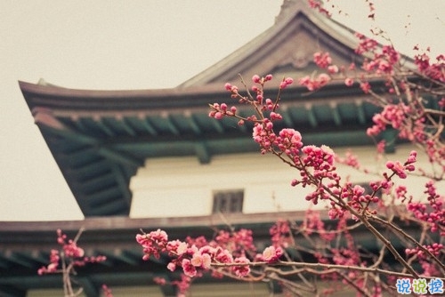 十二月治愈系早安說說2018精選帶圖片 麻煩十二月對我好一點(diǎn)11