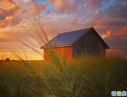 微信朋友圈可愛(ài)句子配圖 女生朋友圈俏皮可愛(ài)的愛(ài)情句子帶圖片7