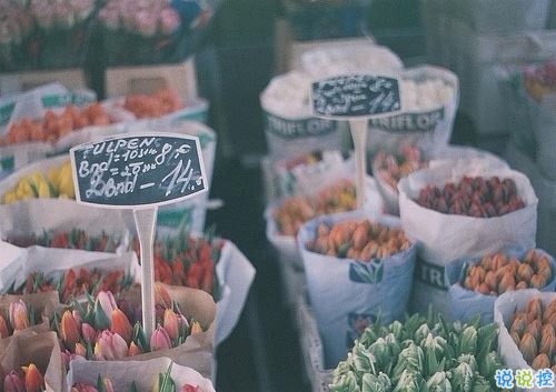 15條值得學習的勵志說說帶圖片 陽光簡短的勵志說說配圖1