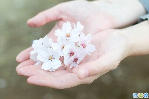 唯美簡(jiǎn)單的英文說(shuō)說(shuō)帶圖片 世人萬(wàn)千種浮云莫去求8