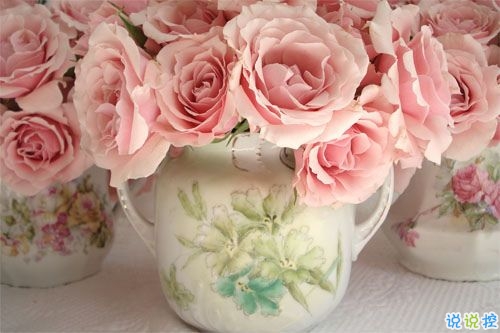 那些讓你欲罷不能的土味雷人情話說說 落葉歸根你歸我2