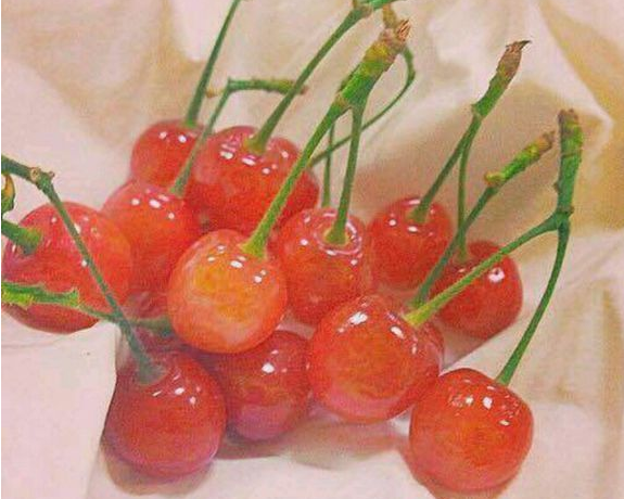 超甜蜜的句子少女心炸裂的情話 適合表白時(shí)說(shuō)的句子1