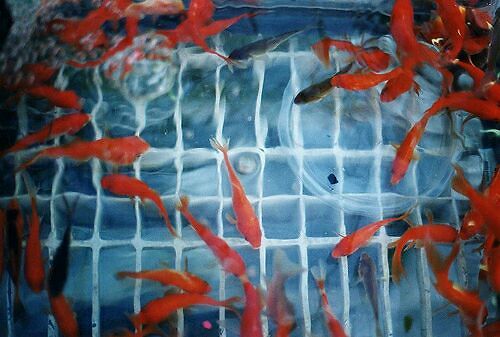 那些瞬間讓人紅了眼眶的歌詞和圖片4