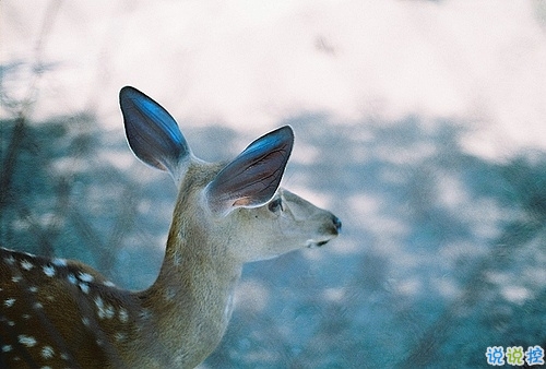 早安周末寫給周末上午的勵志經(jīng)典說說配圖 很勵志經(jīng)典的早安心語語錄20188