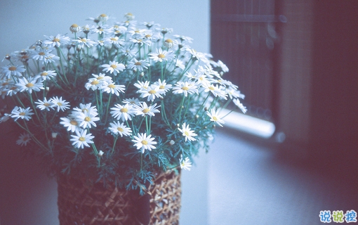 最美好的愛情說說大全 簡(jiǎn)單幸福說說心情短語2