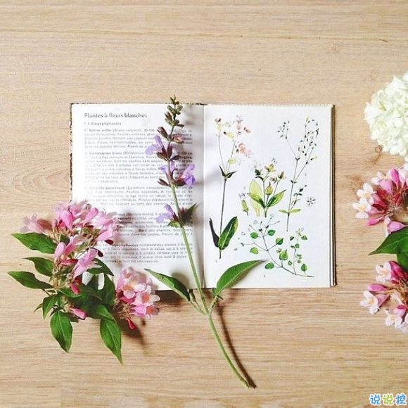 00后青春期暗戀一個(gè)人的甜蜜心情說(shuō)說(shuō)帶圖片15