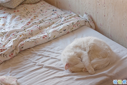 關于青春年華浪漫唯美的愛情句子 年少的笑漾著微光9