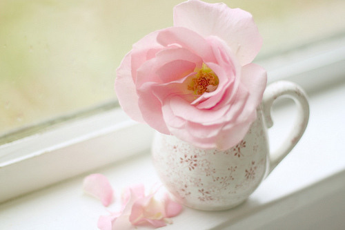 很含蓄唯美的藏頭詩說說帶圖片文字控會(huì)很喜歡8