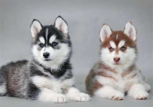 可以戳中中你笑點的搞笑說說帶圖片13